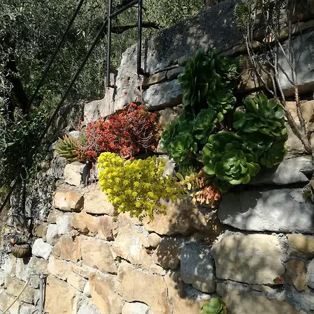 Emilia Holiday Ferienhaus Camporosso (Liguria)